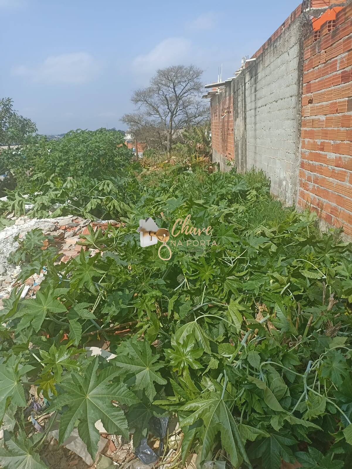 Terreno, 125 m² - Foto 8