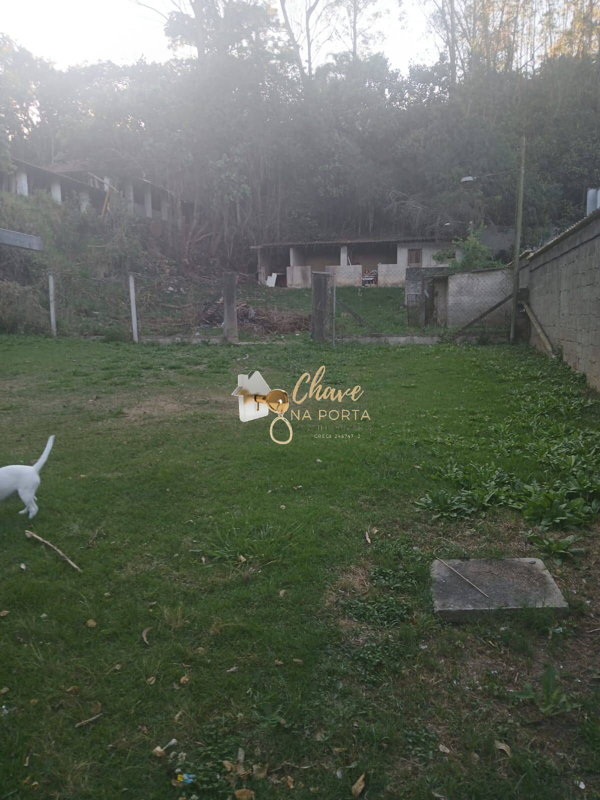 Casa, 4 quartos, 2000 m² - Foto 23