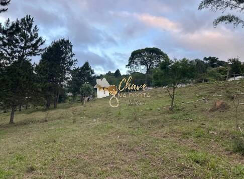 Terreno, 1513 m² - Foto 6