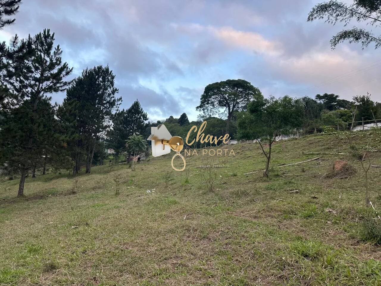 Terreno, 1513 m² - Foto 5