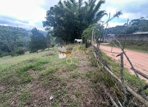 Terreno, 1513 m² - Foto 7