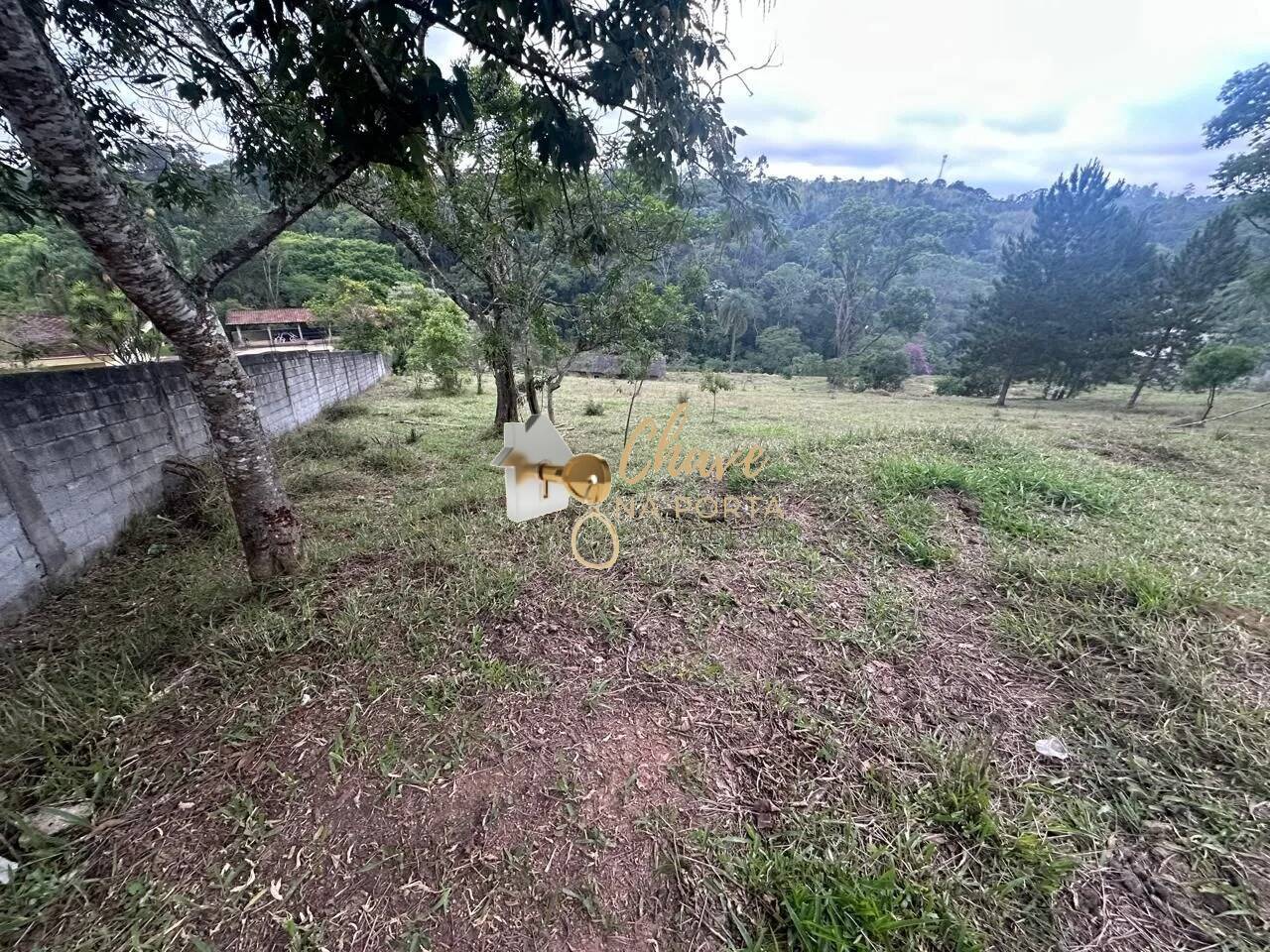 Terreno, 1513 m² - Foto 3