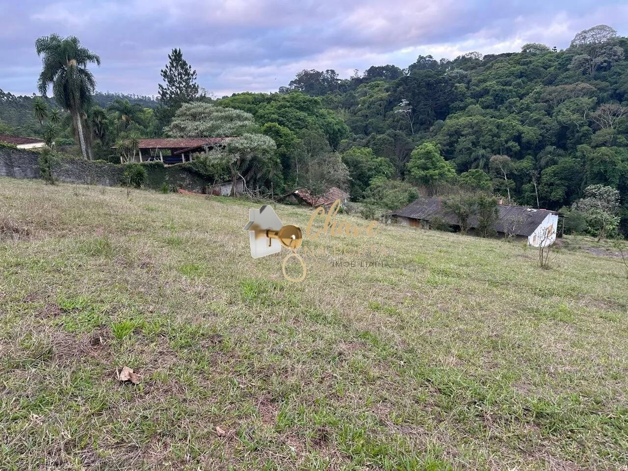 Terreno, 1513 m² - Foto 4