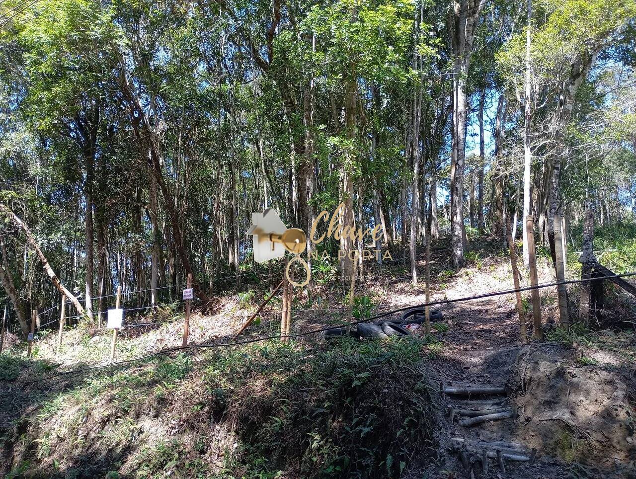 Terreno, 6462 m² - Foto 3