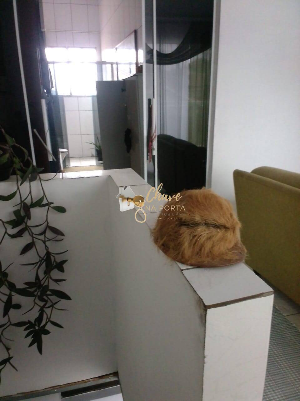 Casa, 3 quartos, 195 m² - Foto 7