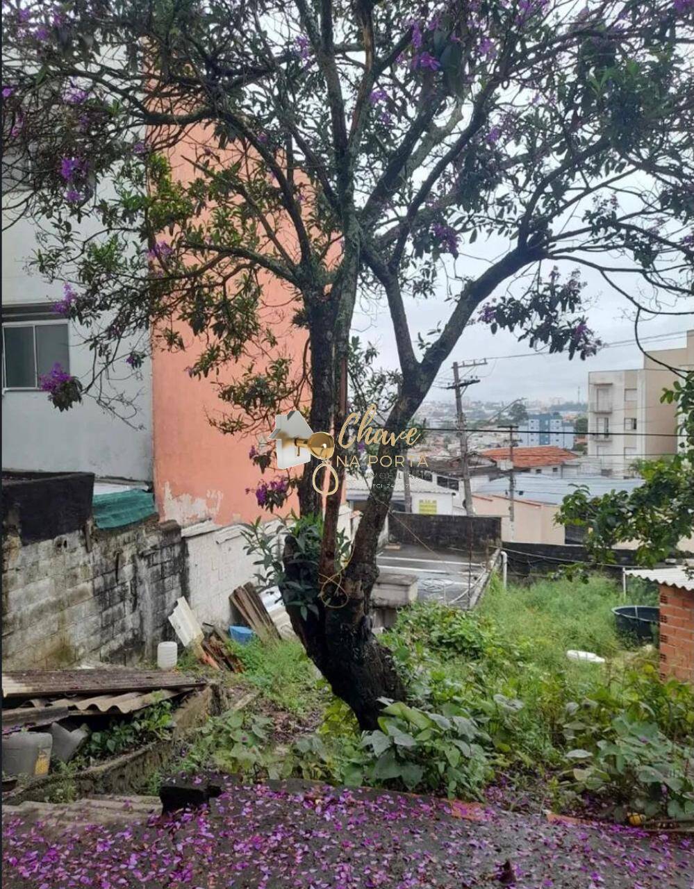 Casa, 3 quartos, 610 m² - Foto 21