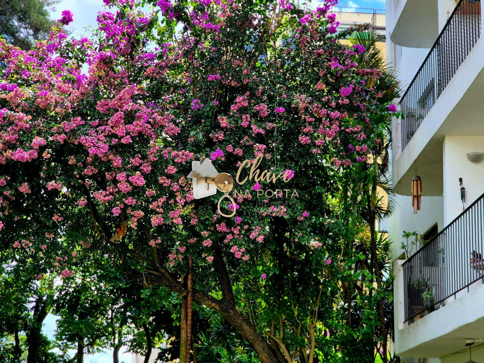 Apartamento, 3 quartos, 73 m² - Foto 29