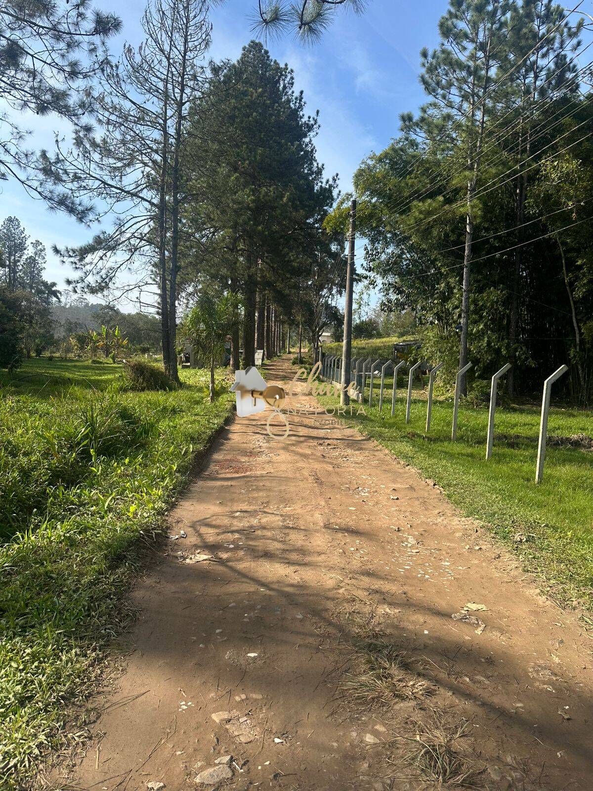 Terreno, 1004 m² - Foto 4
